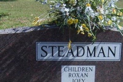 Terry Wratt Steadman on Sysoon