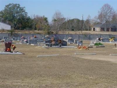Thelma Baptist Cemetery on Sysoon
