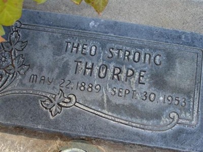 Theo Thorpe on Sysoon