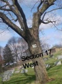 Theodora Mae Blevins Wooley, Find a grave on Sysoon Theodora Mae Blevins Wooley on Sysoon