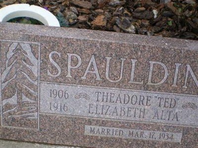 Theodore D Spaulding on Sysoon