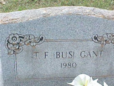 Theodore Floyd (Bus) Gant on Sysoon