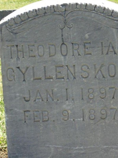Theodore Ian Gyllenskog on Sysoon