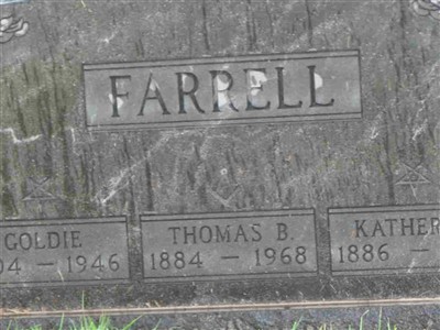 Thomas B. Farrell on Sysoon