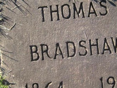 Thomas Bradshaw Allen on Sysoon