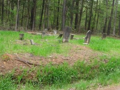 Thomas Diggs Cemetery on Sysoon