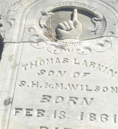 Thomas Larkin Wilson on Sysoon