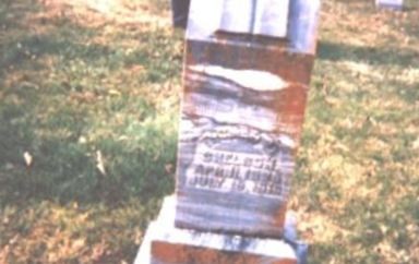 Thomas M. Snelson on Sysoon