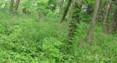 Thompson-Seehorn Cemetery on Sysoon