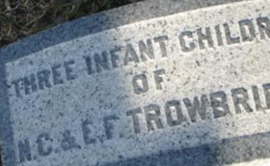 Three Infant Children Of N.C. & E.F. Trowbridge on Sysoon