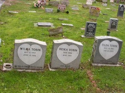 Tilda Tobin on Sysoon