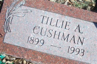 Tillie A. Cushman on Sysoon