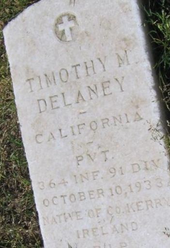 Timothy M. Delaney on Sysoon