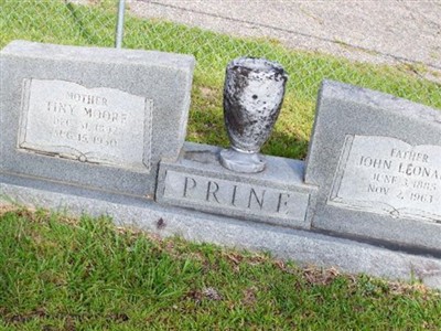 Tiny Moore Prine on Sysoon