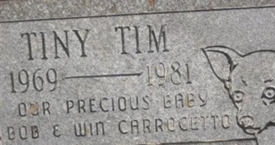 Tiny Tim on Sysoon