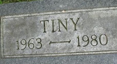 Tiny Timmons on Sysoon