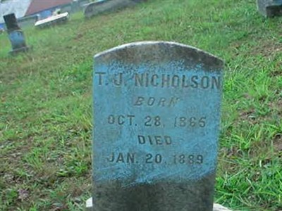 T. J. Nicholson on Sysoon