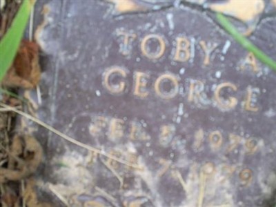Toby A. George on Sysoon