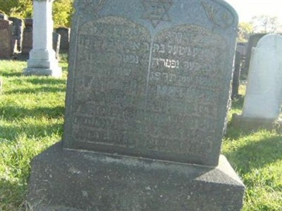 Toby G "Toba" Bloch Finkelstein on Sysoon