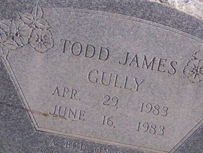 Todd James Gully on Sysoon