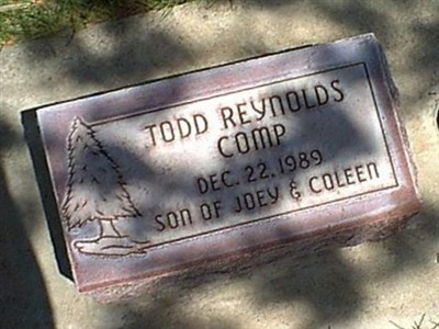 Todd Reynolds Comp on Sysoon