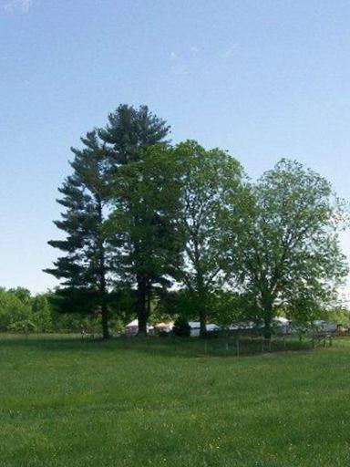 Tom Luck Cemetery on Sysoon