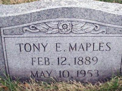 Tony E. Maples on Sysoon