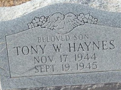 Tony W. Haynes on Sysoon