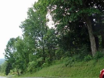 Town Cemetery on Sysoon