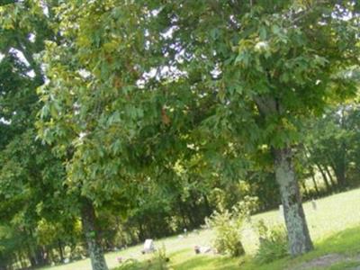 Travis Cemetery on Sysoon