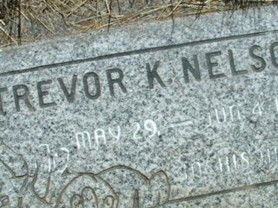Trevor K. Nelson on Sysoon