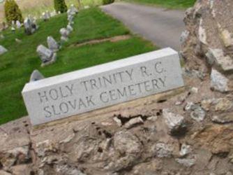 Holy Trinity Roman Catholic Slovak Cemetery on Sysoon