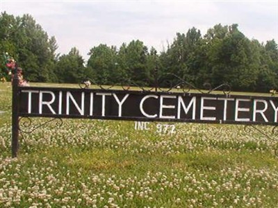 Trinity Cemetery on Sysoon