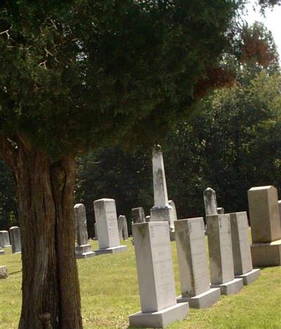 Trinity Cemetery on Sysoon