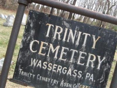 Trinity Cemetery on Sysoon