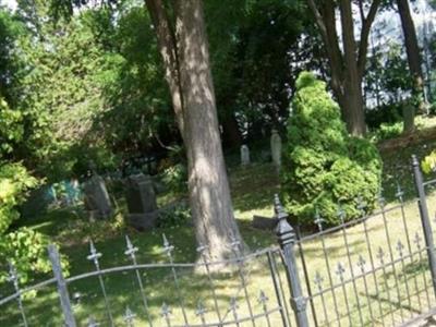 Trinity Lutheran Cemetery (Buffalo Synod) on Sysoon