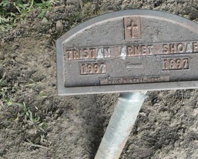 Tristan Arnet Shoaf on Sysoon