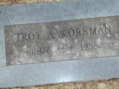 Troy Albert Workman on Sysoon
