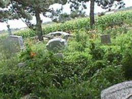 Trumbo Cemetery on Sysoon