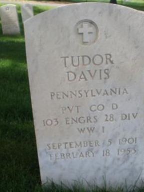 Tudor Davis on Sysoon