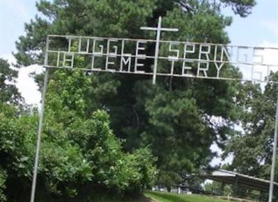 Tuggle Springs Cemetery on Sysoon