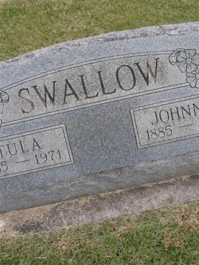 Tula Swallow on Sysoon