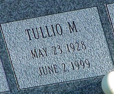 Tullio M Borgia on Sysoon