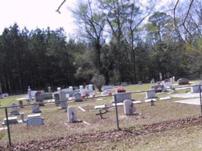 Sysoon: Turkey Branch United Methodist Church Cemetery