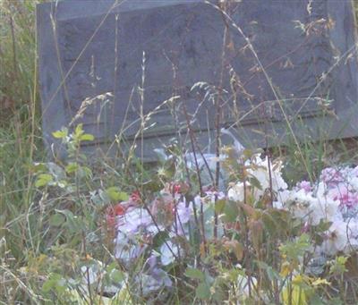 Turnerville Cemetery on Sysoon