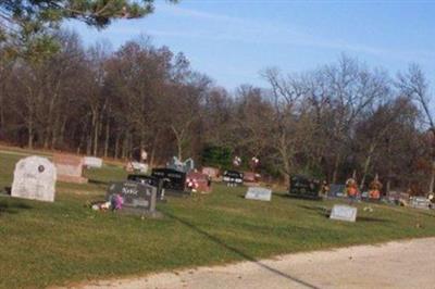 Twelve Mile Grove Cemetery on Sysoon