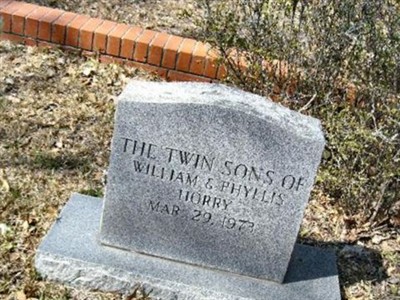 Twin Son One Horry on Sysoon
