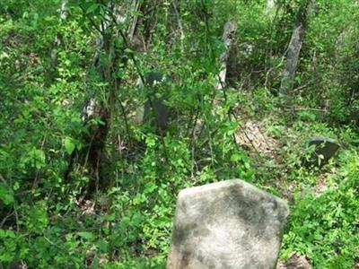 Tyler Cemetery on Sysoon