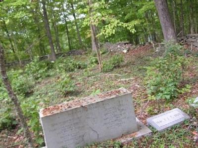 Tyler Family Cemetery on Sysoon