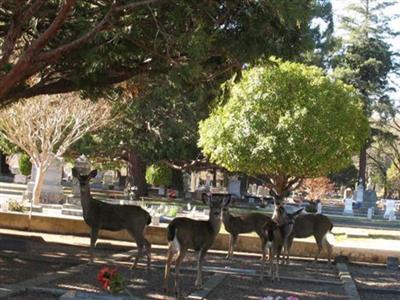 Ukiah Cemetery on Sysoon